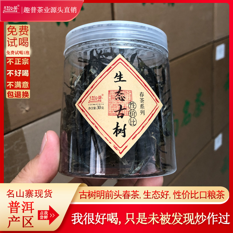 趣普普洱茶生茶2024年春茶现货口粮生态古树纯料早春散茶生普高杆