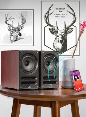 升级版蓝牙同轴立体声发烧音箱