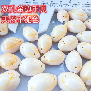 A+双孔黄金边螺天然海螺贝壳 金环宝螺 小钱币贝DIY手工饰品配件