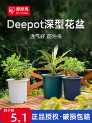 爱丽思Deepot深型高筒花盆月季铁线莲专用树脂爱丽丝塑料彩色大盆