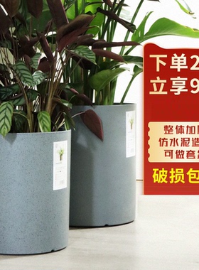生长魔励 ins仿水泥花盆圆形塑料花盆大号龟背竹散尾葵绿植盆栽盆