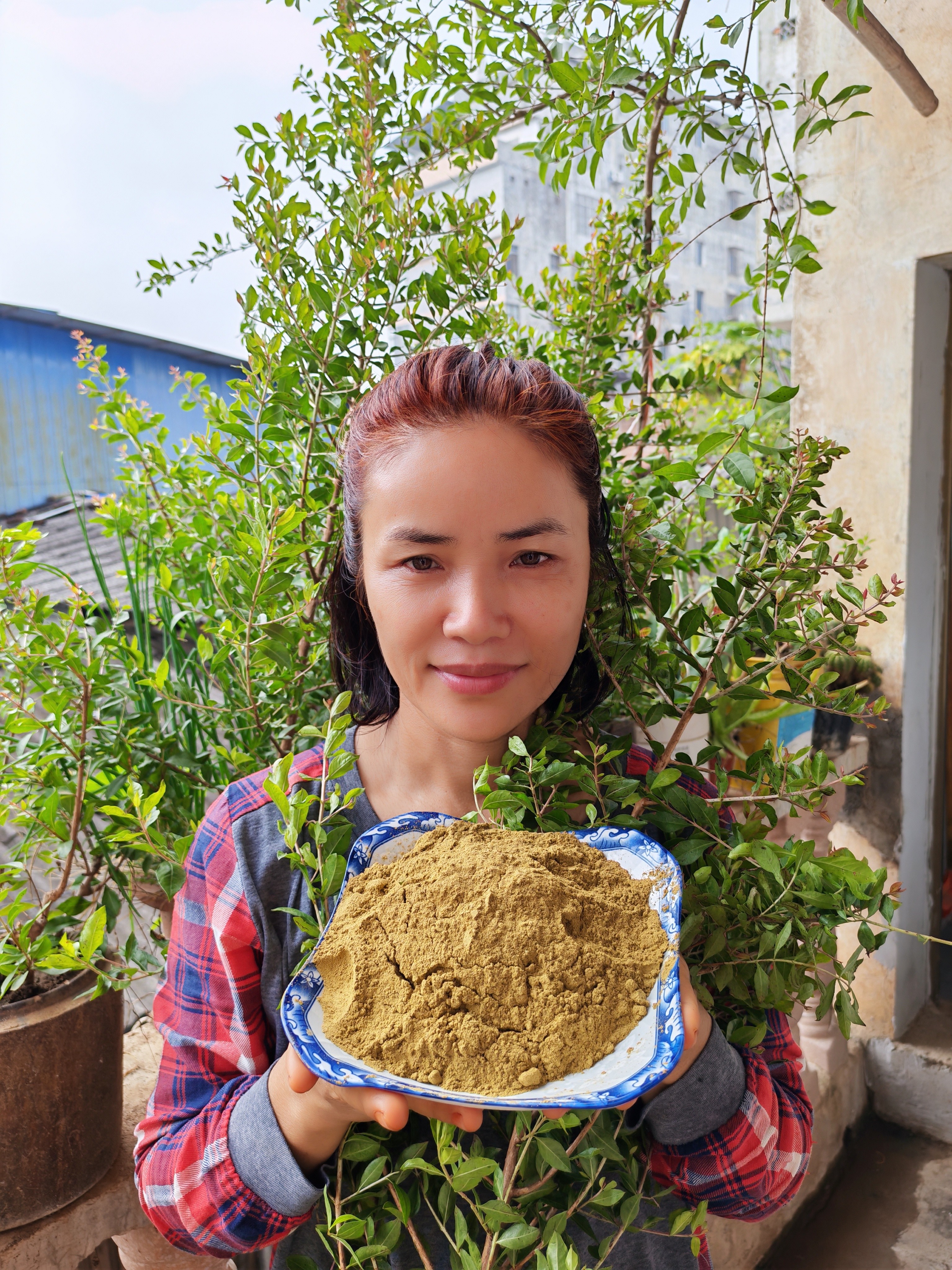 【干粉干叶子】自家散沫花指甲花指甲叶