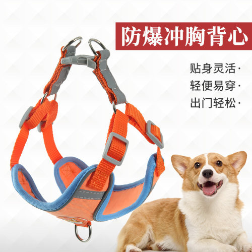 狗狗牵引绳背心式遛狗绳