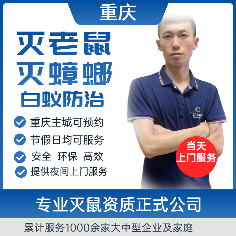 重庆上门公司白蚁防治虫害灭鼠