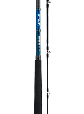 Daiwa DEEP ZONE X 120-180 150-210 200-240接插式船钓竿 19新