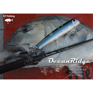 RIPPLEFISHER 船用波爬竿 日产 OceanRidge Bending Curve