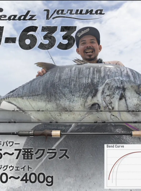 25新款 FISHMAN 铁板竿 三节铁板竿 日产 Seadz varuna J-633