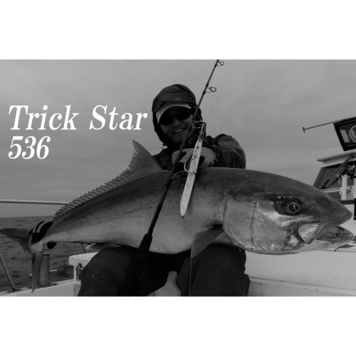 26新款 TRUTH 快抽铁板竿 日产 TrickStar 536