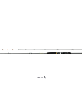25新款 DAIWA达亿瓦 HIRAME X 船钓竿