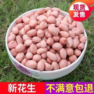 正宗东北生花生米新货粉皮新鲜花生米不带壳榨油白沙花生仁花生米