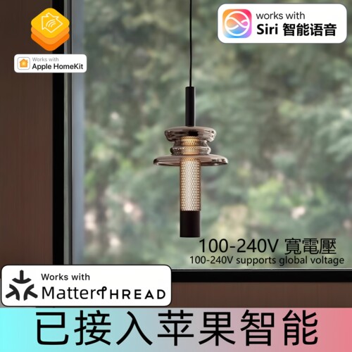 Matter苹果Homekit智能家居