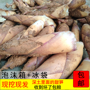 永泰甜笋福建福州特产甜竹笋黄尖笋新鲜野生带壳春笋清甜脆嫩