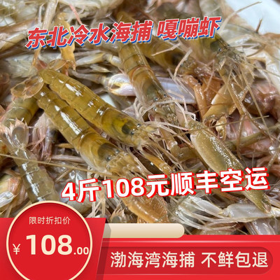 有货正常下单4斤嘎巴虾渤海湾锦州夹板虾鲜活海虾嘎嘣虾狗虾顺丰