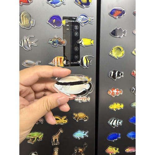 海水族冰箱贴海缸贼仙类文创冰箱贴海水鱼系列亚克力冰箱贴包邮