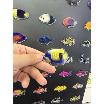 水族冰箱贴海缸法仙仙类鱼文创冰箱贴海水鱼系列亚克力冰箱贴包邮