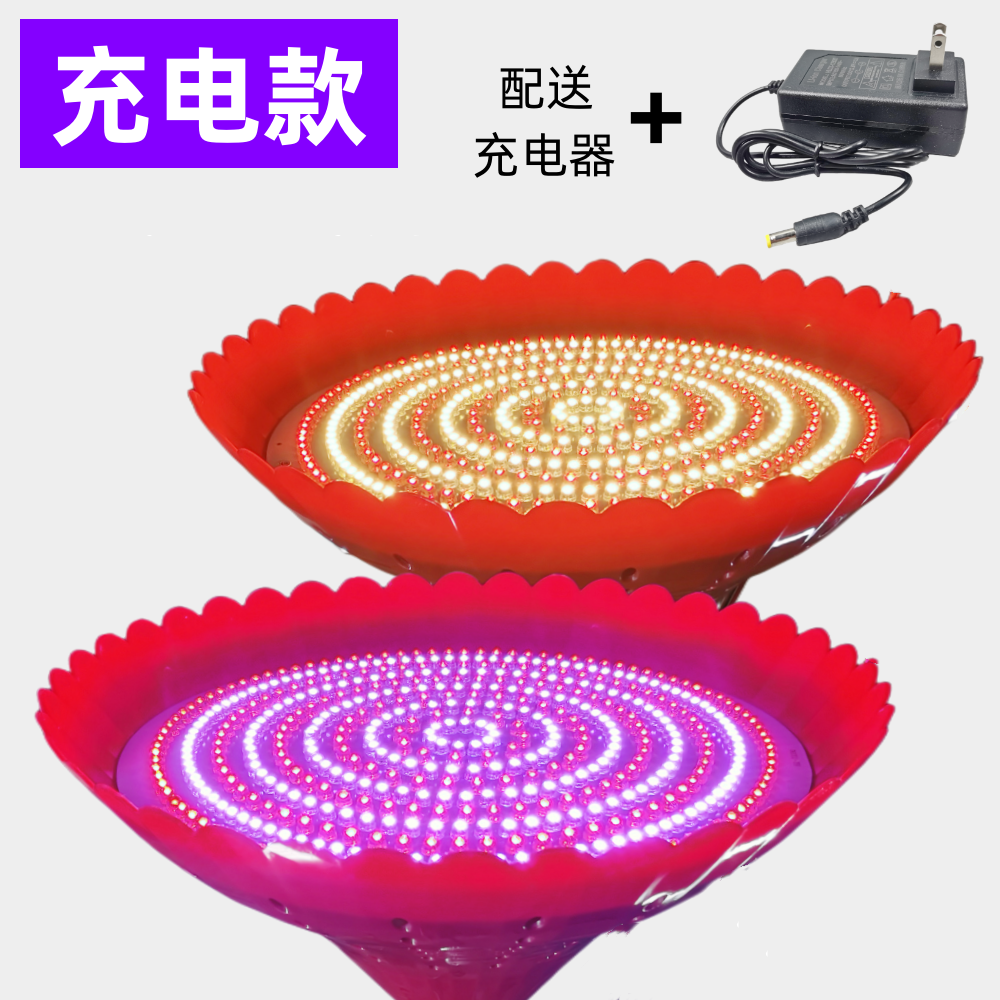 led充电灯红光充电灯红白光红黄光夜市灯充电暖光照明灯红色壳12V