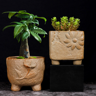创意发财树多肉老桩文竹专用花盆简约粗陶透气正方形桌面2021新款