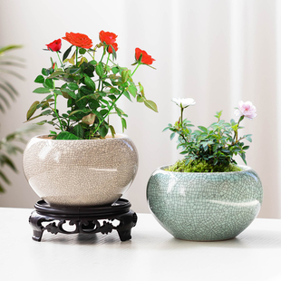 哥窑开片陶瓷小花盆有孔带托多肉绿植容器小清新室内桌面花器清仓
