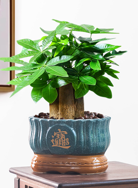陶瓷花盆发财树绿植中式招财大口径摆件盆复古室内阳台家用造景盆