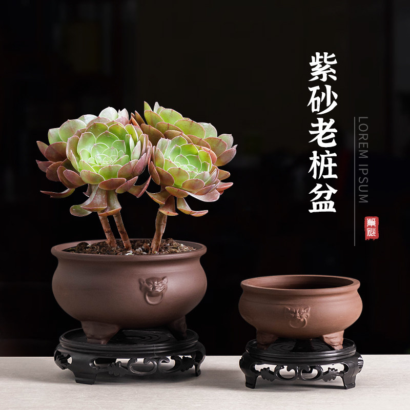 紫砂花盆老桩胡椒木金枝玉叶室内盆栽中式兽首透气陶瓷绿植桌面盆图片