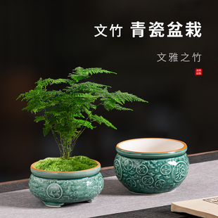 青色陶瓷花盆文竹专用花盆家用客厅发财树盆栽用盆招财绿植盆摆件