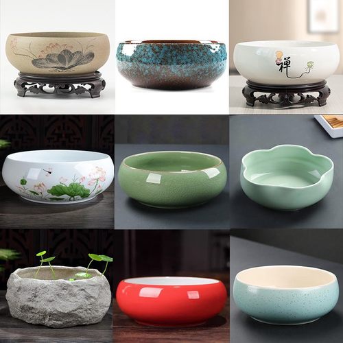 水仙花水培盆陶瓷铜钱草专用