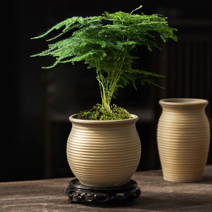 简约透气文竹专用花盆粗陶瓷家用有孔透气大小号圆口盆罐带托盘