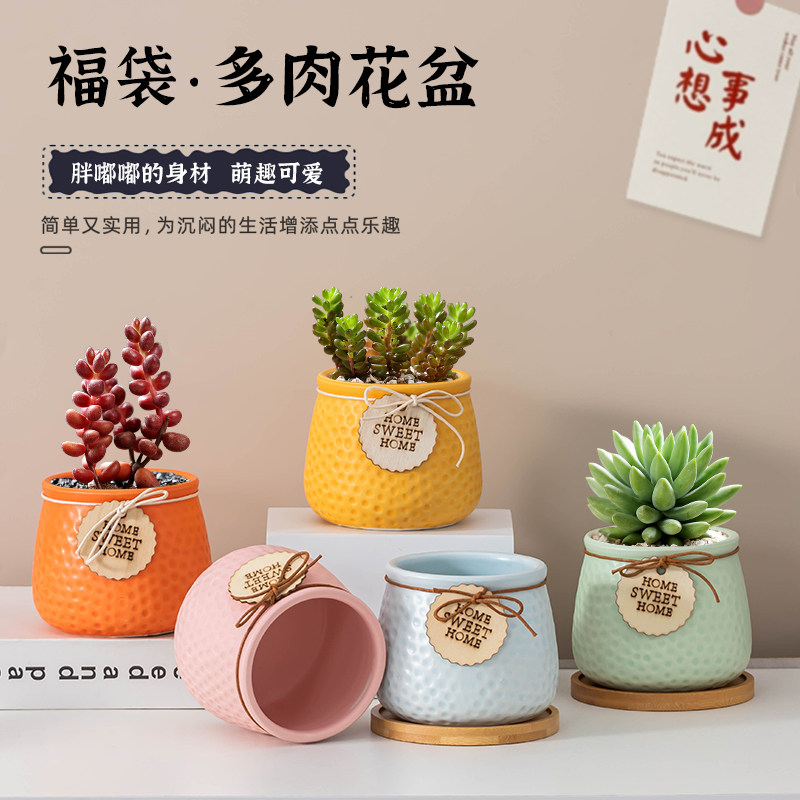 福袋多肉专用花盆家用大小口径绿植肉肉万重山透气陶瓷盆栽盆带托,鲜花速递/花卉仿真/绿植园艺,花盆,淘宝优惠券,粉丝福利购,淘宝优惠卷