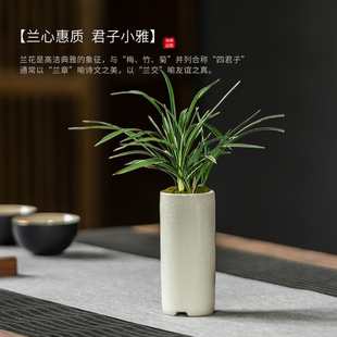陶瓷简约兰花花盆哥窑高款 家用办公室迷你绿植指尖小盆栽带托盘