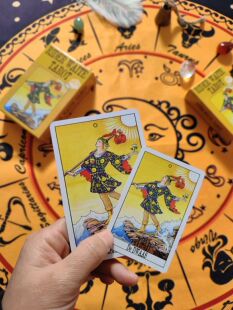 荷兰正版韦特卡牌普及版卡罗牌青花瓷背版初学者入门桌游