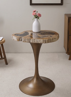 硅化木沙发茶几设计师现代艺术边几设计师款轻奢意式极简客厅角几