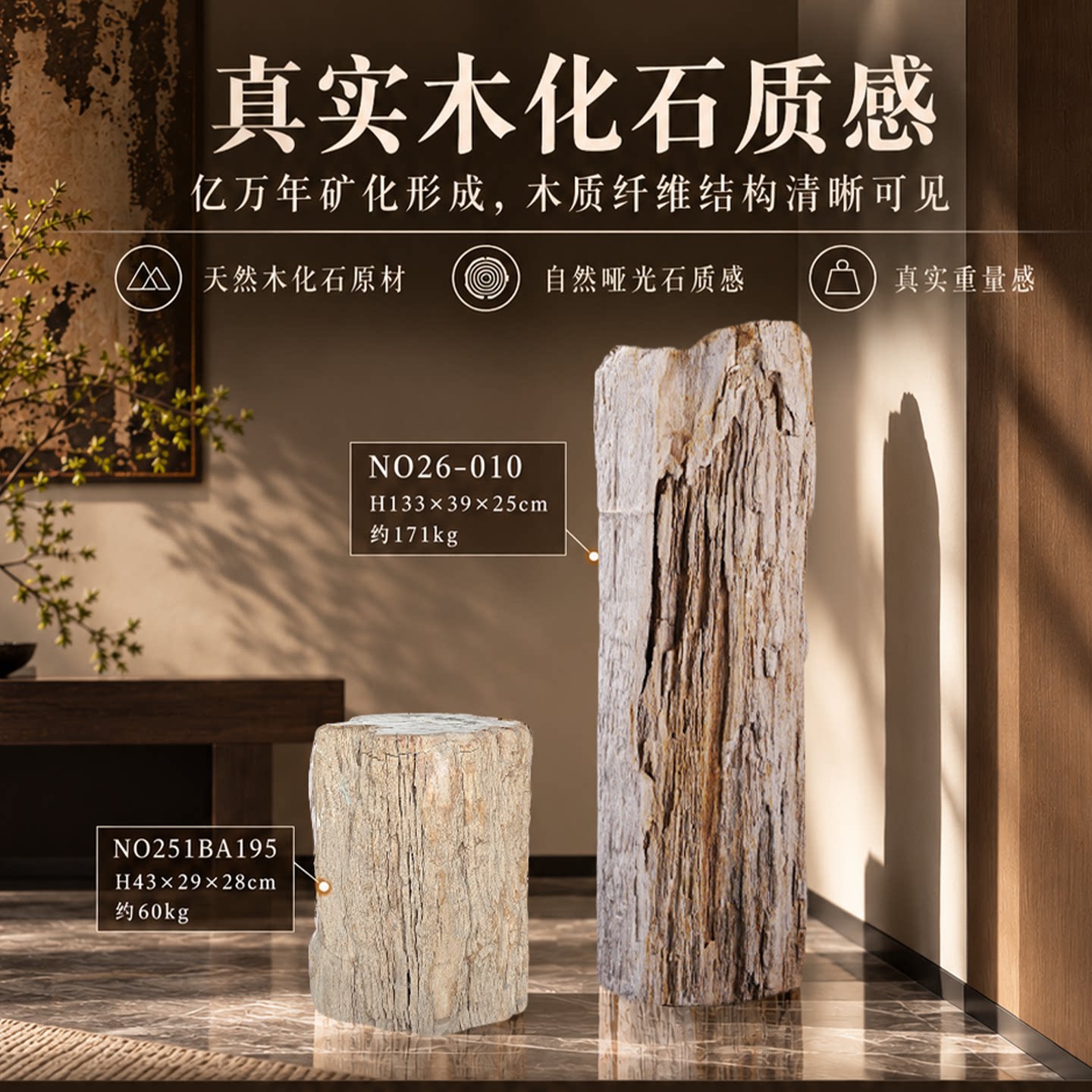 树化石天然原石落地摆件 侘寂风新中式玄关庭院观赏收藏摆件