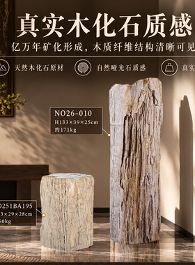 树化石天然原石落地摆件 侘寂风新中式玄关庭院观赏收藏摆件