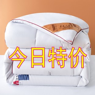 特价清仓长丝被冬被子被芯春秋被加厚保暖空调被学生被子冬季棉被