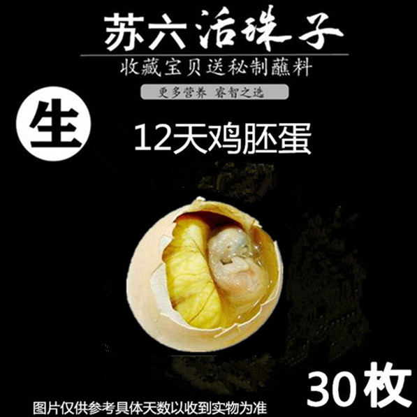 生的 六合活珠子鸡胚蛋凤凰蛋活的新鲜12/13天 旺鸡蛋鲜活 喜蛋