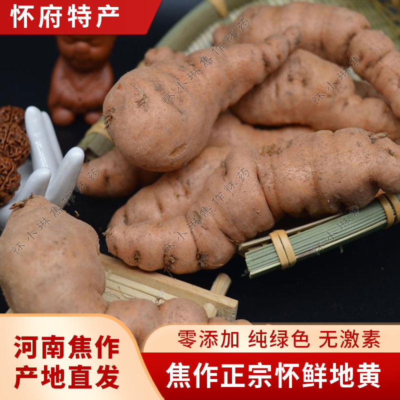 现挖鲜地黄鲜地根2500g正宗河南焦作生地黄新鲜产地直发5斤中药材