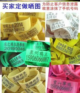 鸭子防脱落鸡圈动物标记带禽类扣带刻字编号记号牌套环养殖鸡脚环