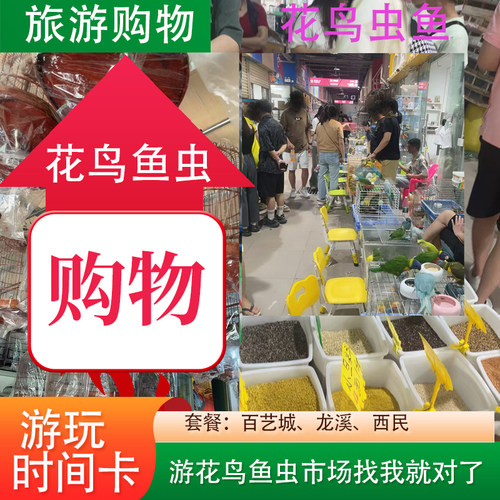 百艺城西民龙溪地铁