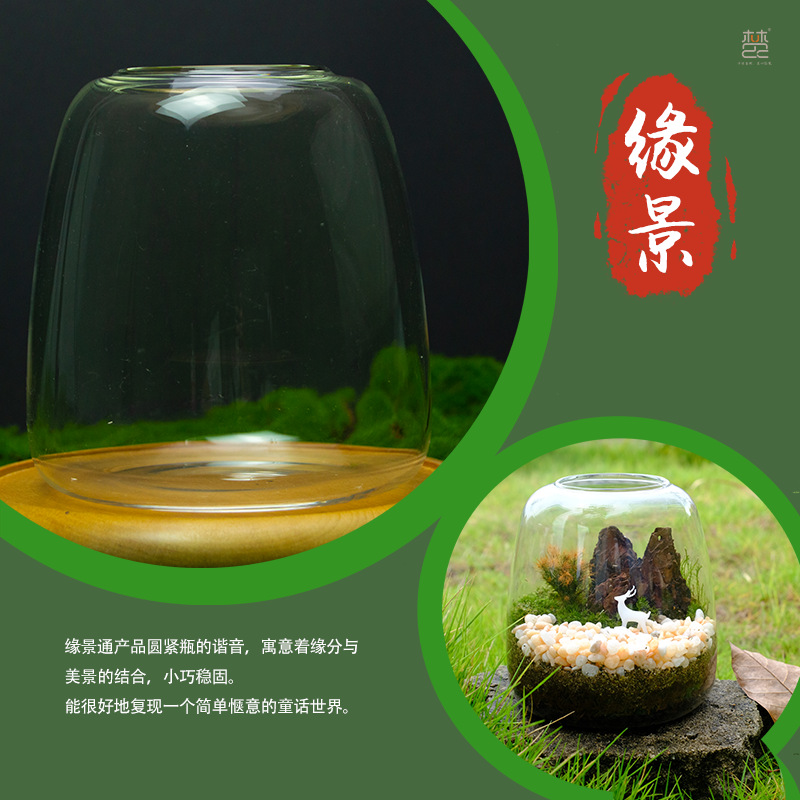 微景观生态瓶养鱼玻璃瓶桌面水培植物鱼缸水苔藓微景观植物盆栽