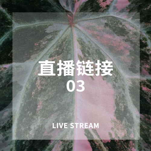 1011 22:30 综合物拍43-63