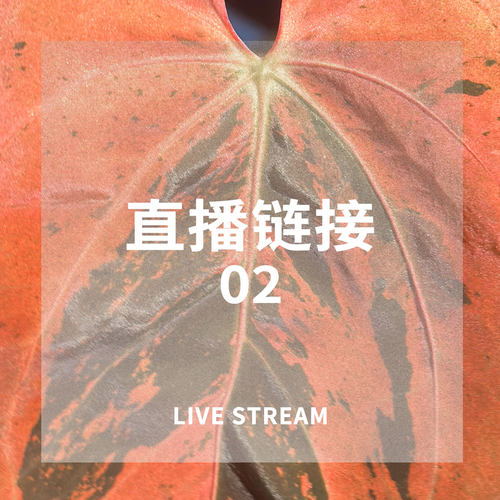 1011 21:30 综合物拍22-42