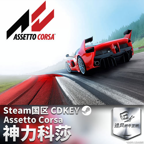 Steam游戏 PC 正版 神力科莎 Assetto Corsa 国区 激活码 CDK
