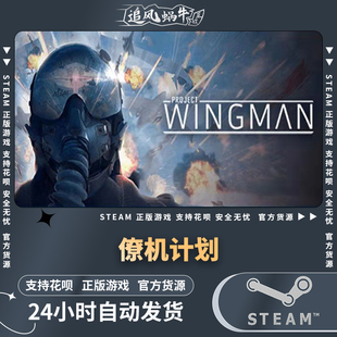 僚机计划 PC正版 Project Wingman 国区礼物