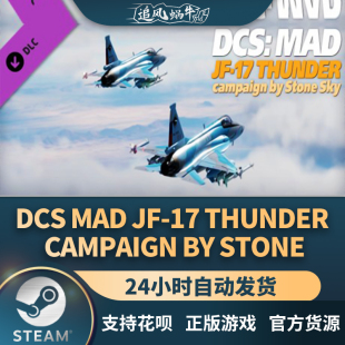 游戏 Thunder DCS MAD Steam Stone Campaign 正版