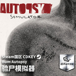 Steam 正版 PC 游戏 验尸模拟器 国区激活码 CDKEY