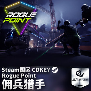 Steam 正版 PC 游戏 佣兵猎手 国区激活码 CDKEY