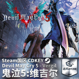 Steam 正版 PC 鬼泣5 维吉尔 Devil May Cry 5 国区激活码 CDKEY