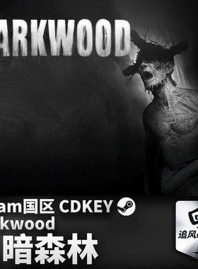 Steam 正版 PC 游戏 阴暗森林 Darkwood 国区激活码 CDKEY