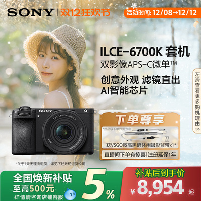 全国补贴索尼A6700半画幅微单
