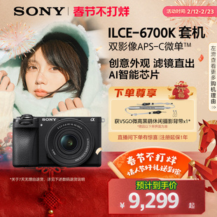 Sony/索尼 Alpha 6700 APS-C画幅微单相机 A6700